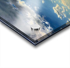 48681754453_73924de2e2_o Acrylic print