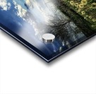 48682266352_1b4896edd5_o Acrylic print