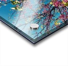 48682265332_b13d55b34c_o Acrylic print