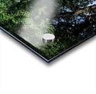 48681752873_fe8571dba2_o Acrylic print