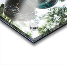 Stop in the Name Acrylic print