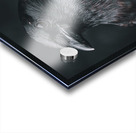 Hello Darkness my old Friend Acrylic print