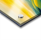 Golden Light Acrylic print