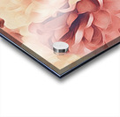 blooming flower Acrylic print