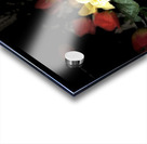 Portraits of Plants - Blossoms  Acrylic print