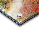 Bull Elk in Cataloochee Valley in North Carolina   Acrylic print