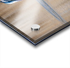 DSC07773 Acrylic print