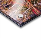 The Magical Season Acrylic print