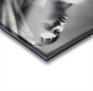 The Approach Acrylic print