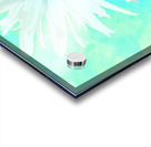 Abstract White and Green Daisy Acrylic print