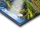 art   landscape 1 Acrylic print