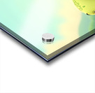 turtle  Acrylic print