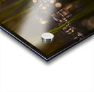 DSC_1987 Acrylic print