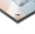 _TE80900 Acrylic print