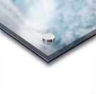 _TE80724 Acrylic print