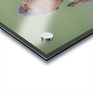 DSC_1196 Acrylic print