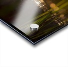 DSC_2027 Acrylic print