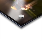 DSC_2156 Acrylic print