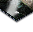 Scenes from the Trail- Forest Floor Acrylic print