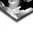 Executrix Acrylic print