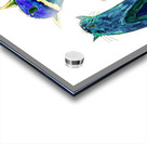 Abstract Green and Blue Singing Cats Acrylic print