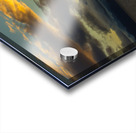 Patagonia 7329 Acrylic print