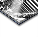  Everyday Lifes Moments- Ascending                                                                                                        Acrylic print