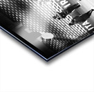 Everyday Lifes Moments- The Team                                                                                                         Acrylic print