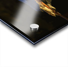 Twilight 1 Acrylic print