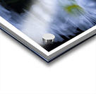 1Q8A1070 Acrylic print