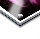 1Q8A0926 Acrylic print