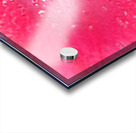 1Q8A7496 Acrylic print