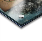 Lady From The Lake Acrylic print