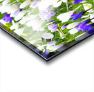 Spring Flower Meadow                                                                                                 Acrylic print