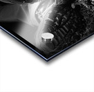 Scenes from the Trail- Resting  Acrylic print