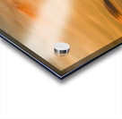 Z72 5951 Acrylic print