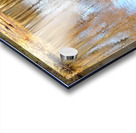 River Speys Spring Reflections                                                                                                                  Acrylic print