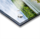 Hawk Over Little Golden Gate Acrylic print