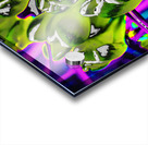  Abstract Crocus Surprise                                                                                                                     Acrylic print