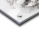  The Wedding  Acrylic print