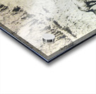 A Boy and a Horse Acrylic print