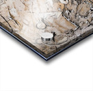 The Saga Acrylic print