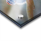 Chipping Sparrow Acrylic print