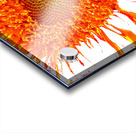 Abstract Orange Sunflower Acrylic print