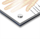 Human hand anatomy  Acrylic print