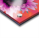 Abstract Hibiscus Sunflower Acrylic print