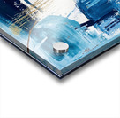 IMG 3037 Acrylic print