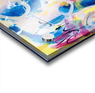 IMG 3593 Acrylic print