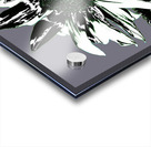 Abstract Arty Monochrome Sunflower Acrylic print