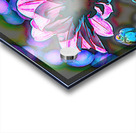 Light Through Acrylic print